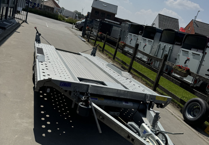 Autotransporter ct177